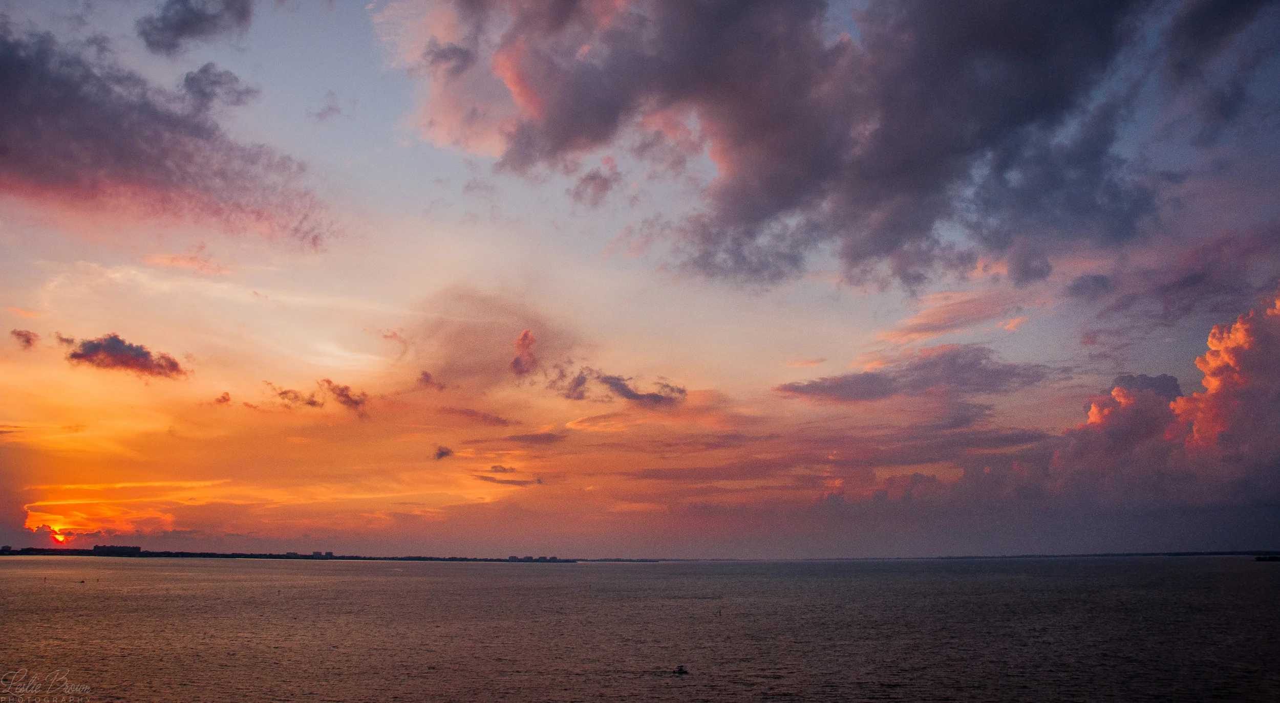 Bayside-8145.jpg