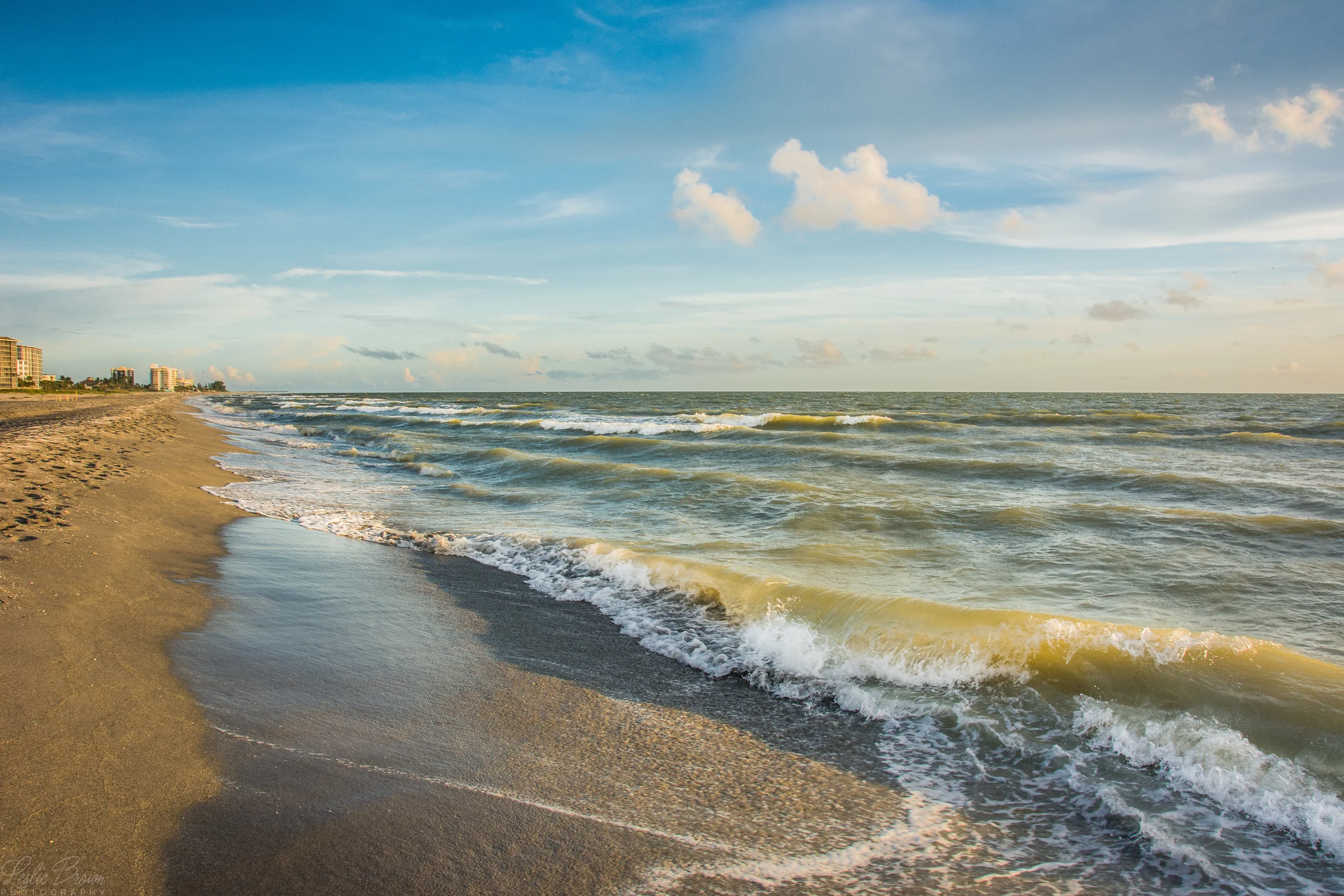 WavesVeniceBch-8209.jpg