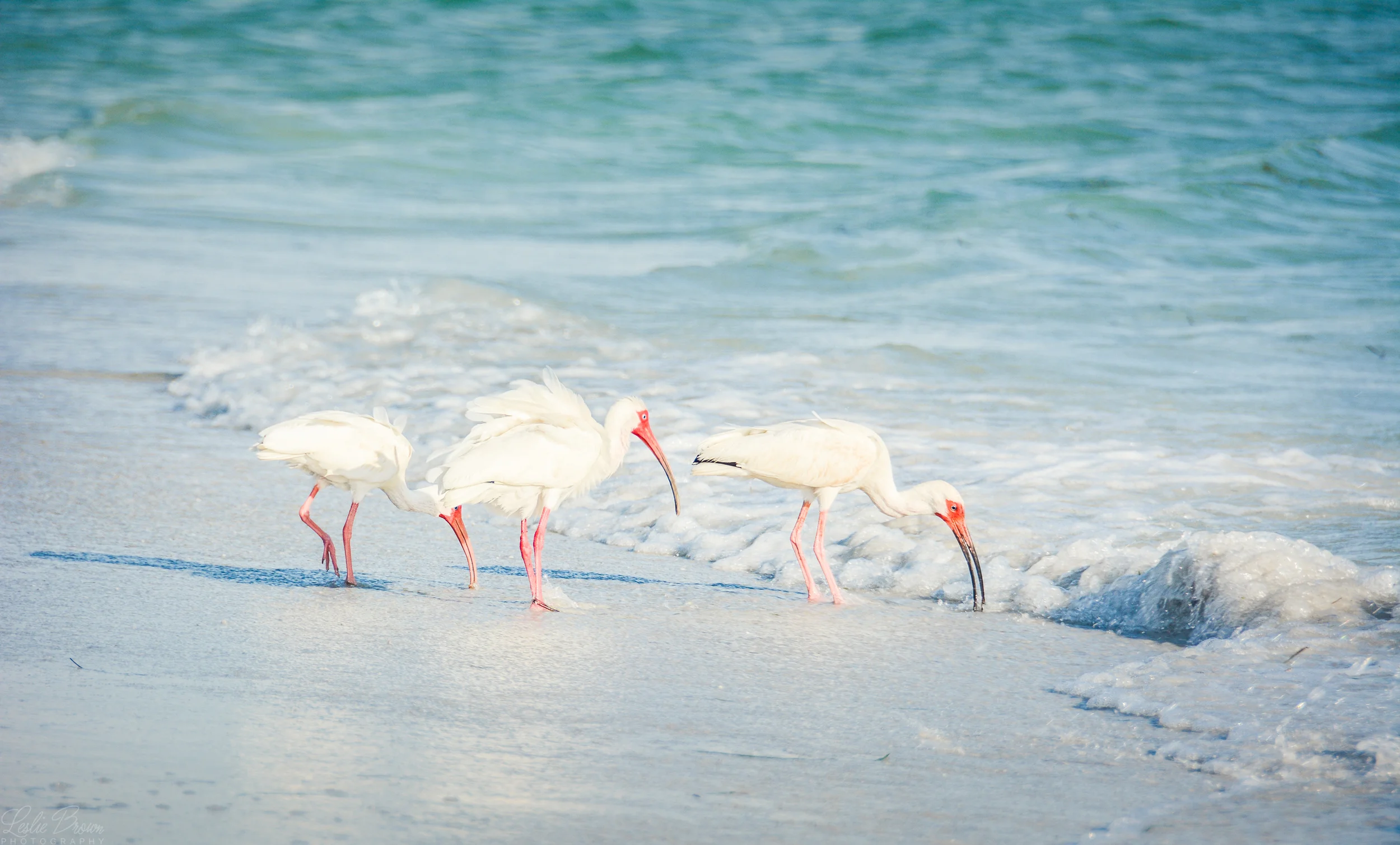 BeachSept-5469.jpg