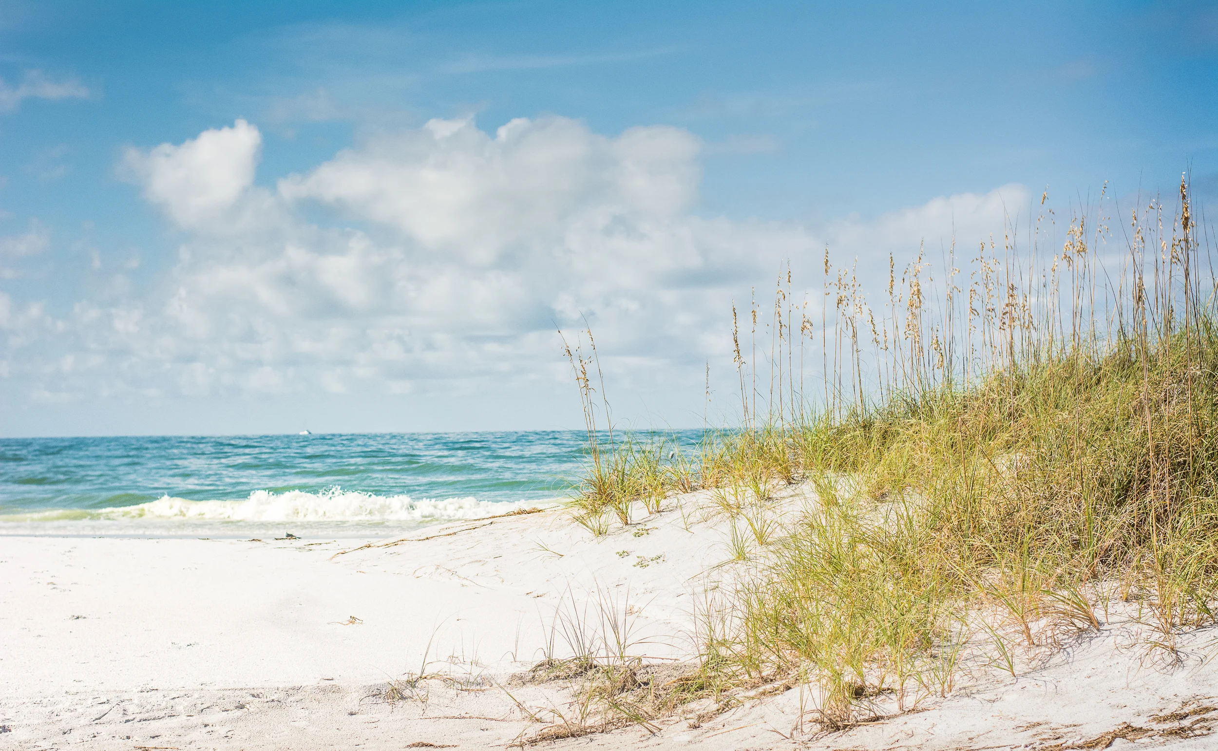 AnnaMariaBeach-0250.jpg