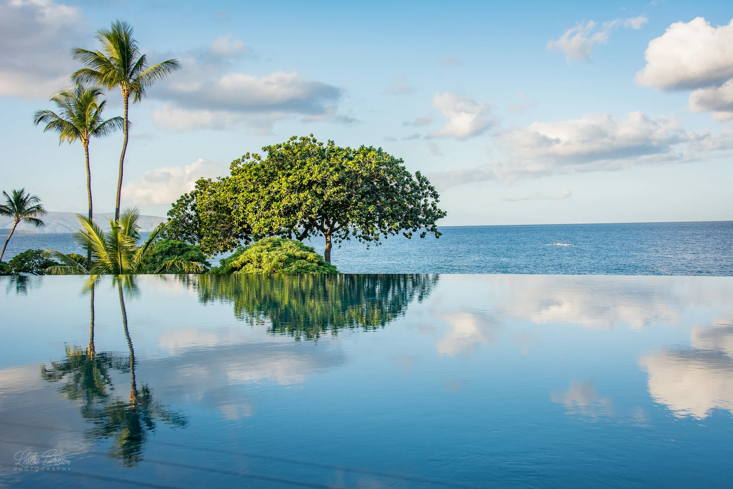 MauiWailea-20.jpg