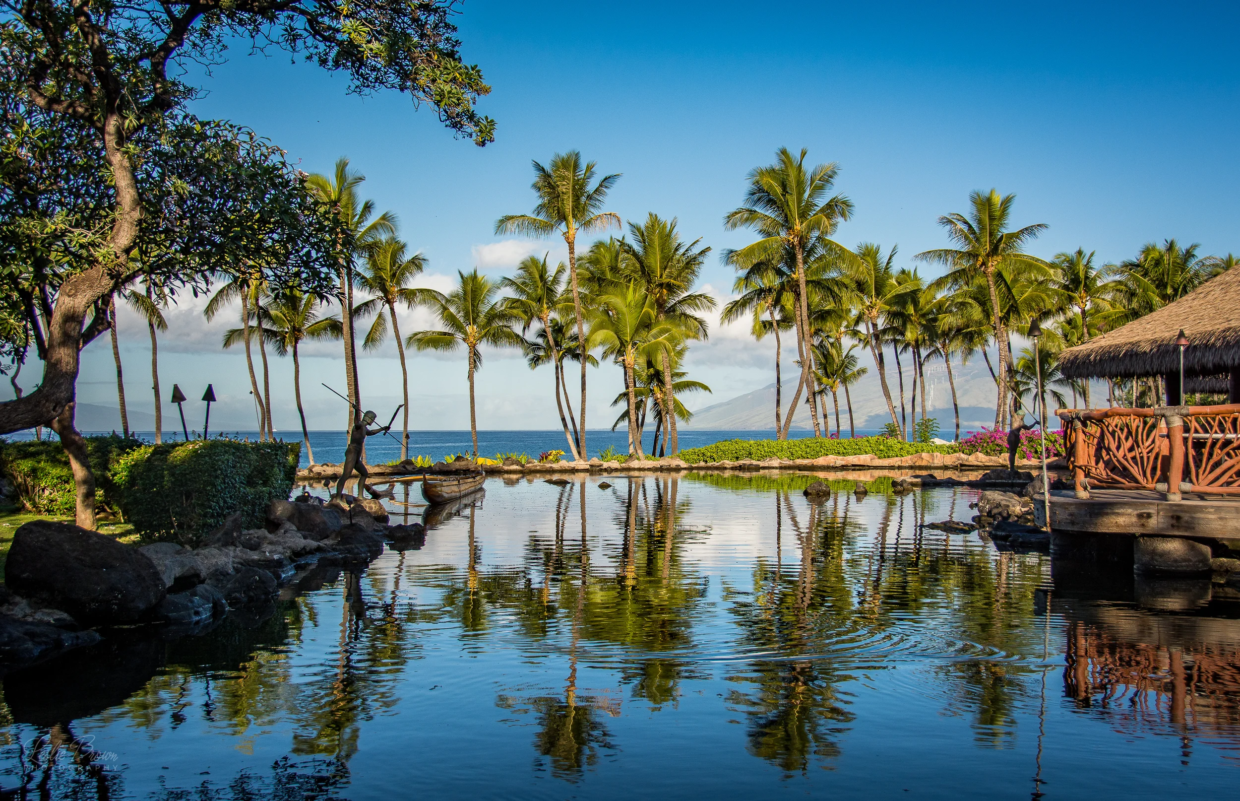 MauiWaileaDec2015-13.jpg