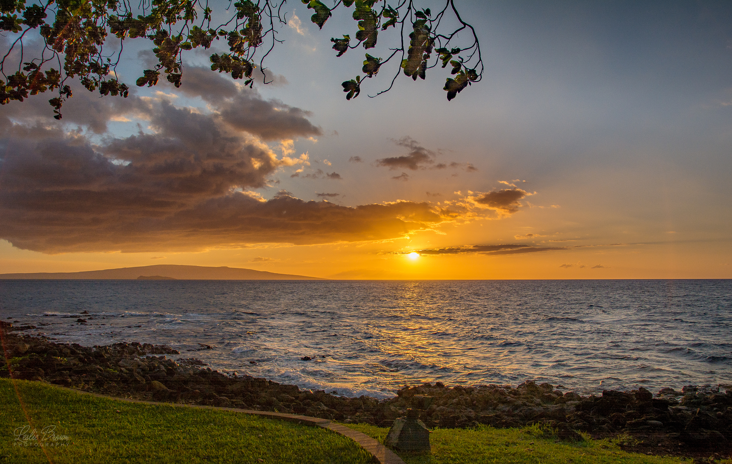 MauiWaileaDec2015-6.jpg