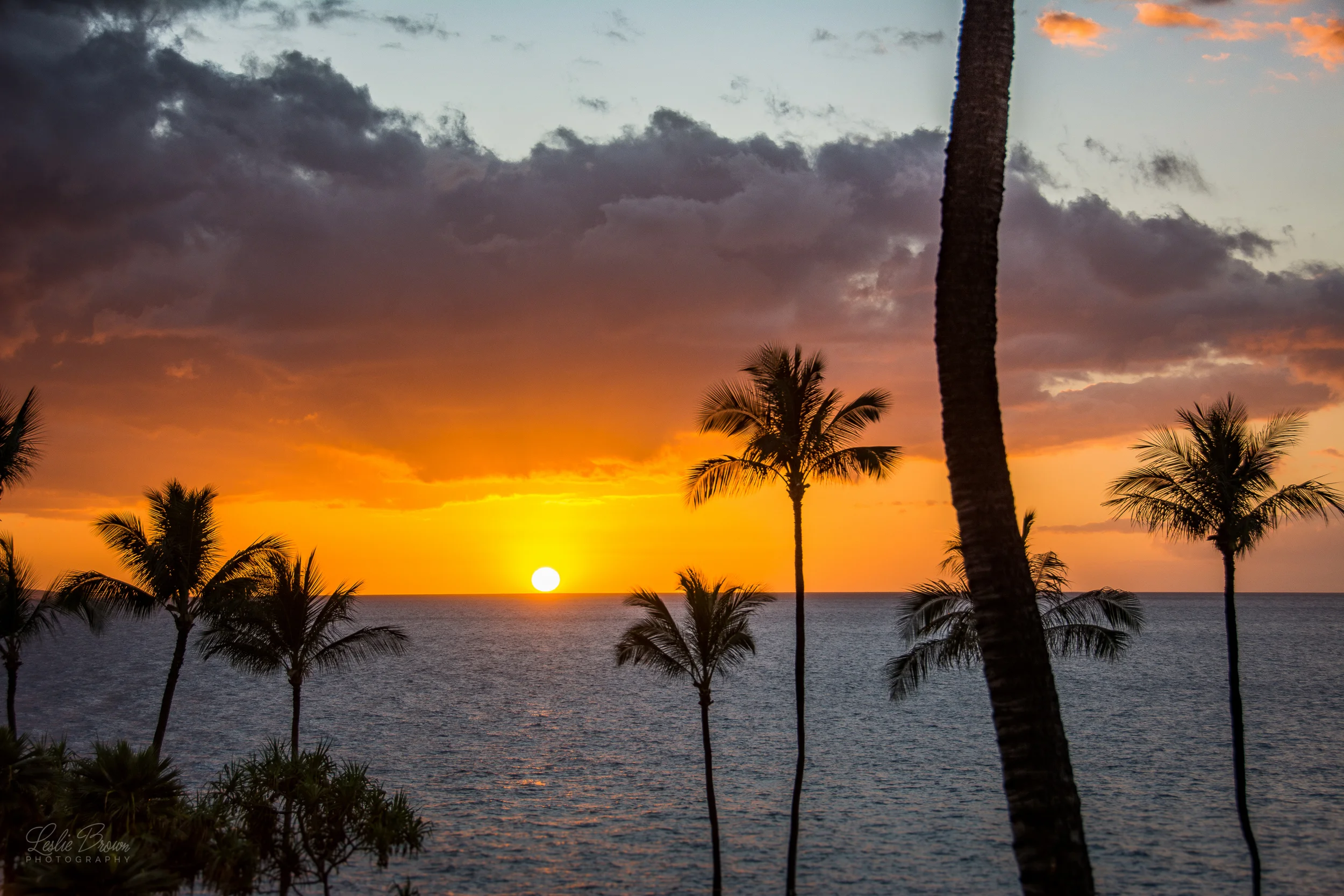 MauiWailea-24.jpg