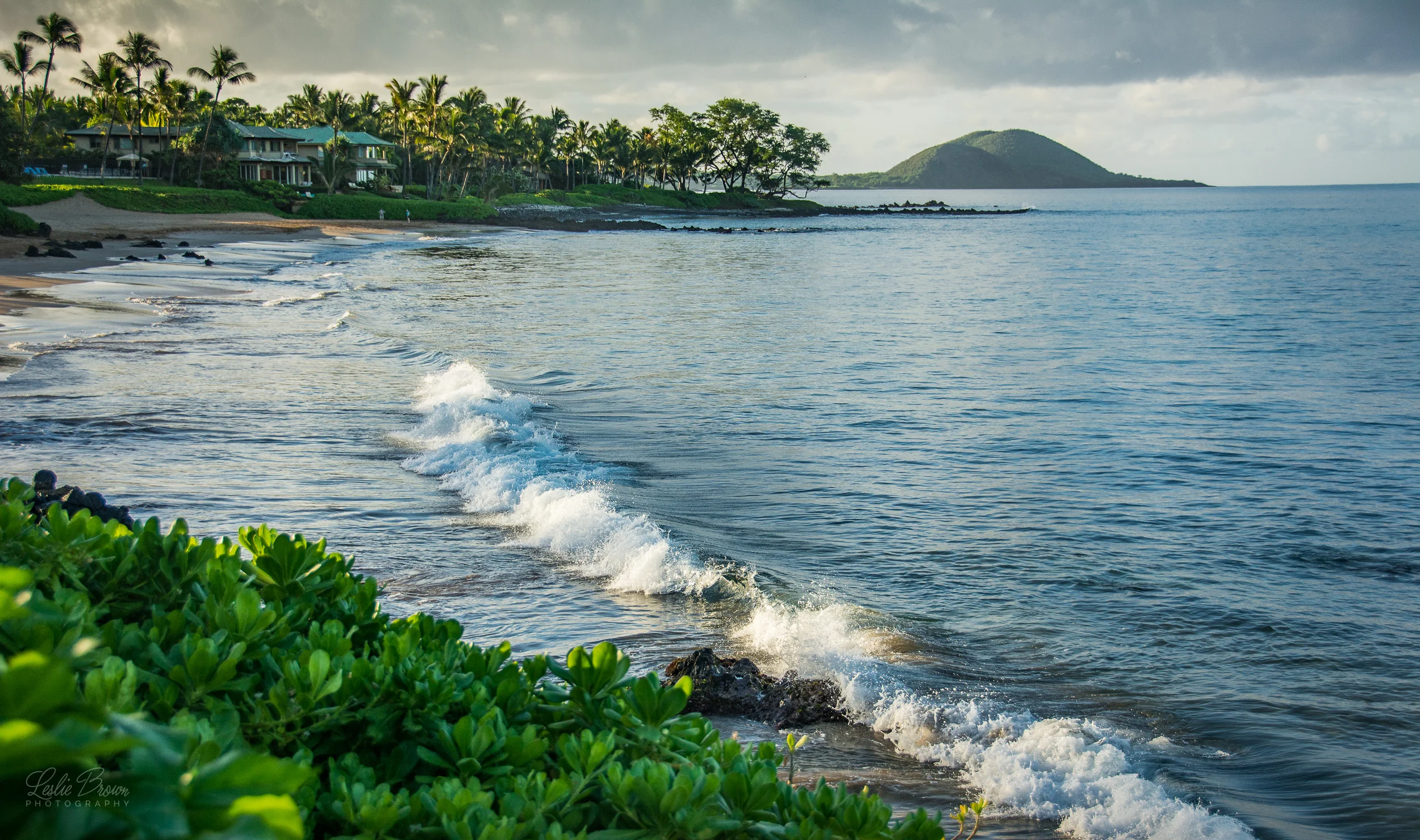 MauiWaileaDec2015-2.jpg