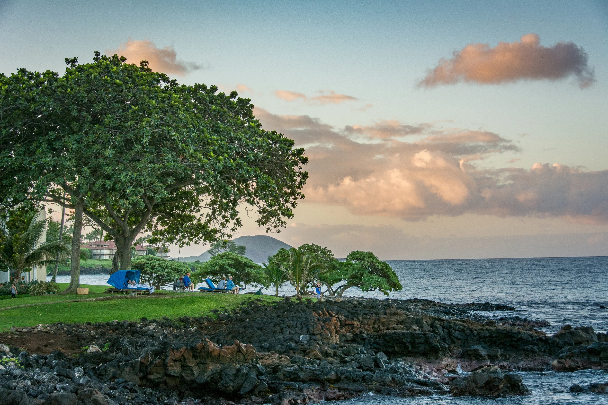 MauiWailea-15.jpg