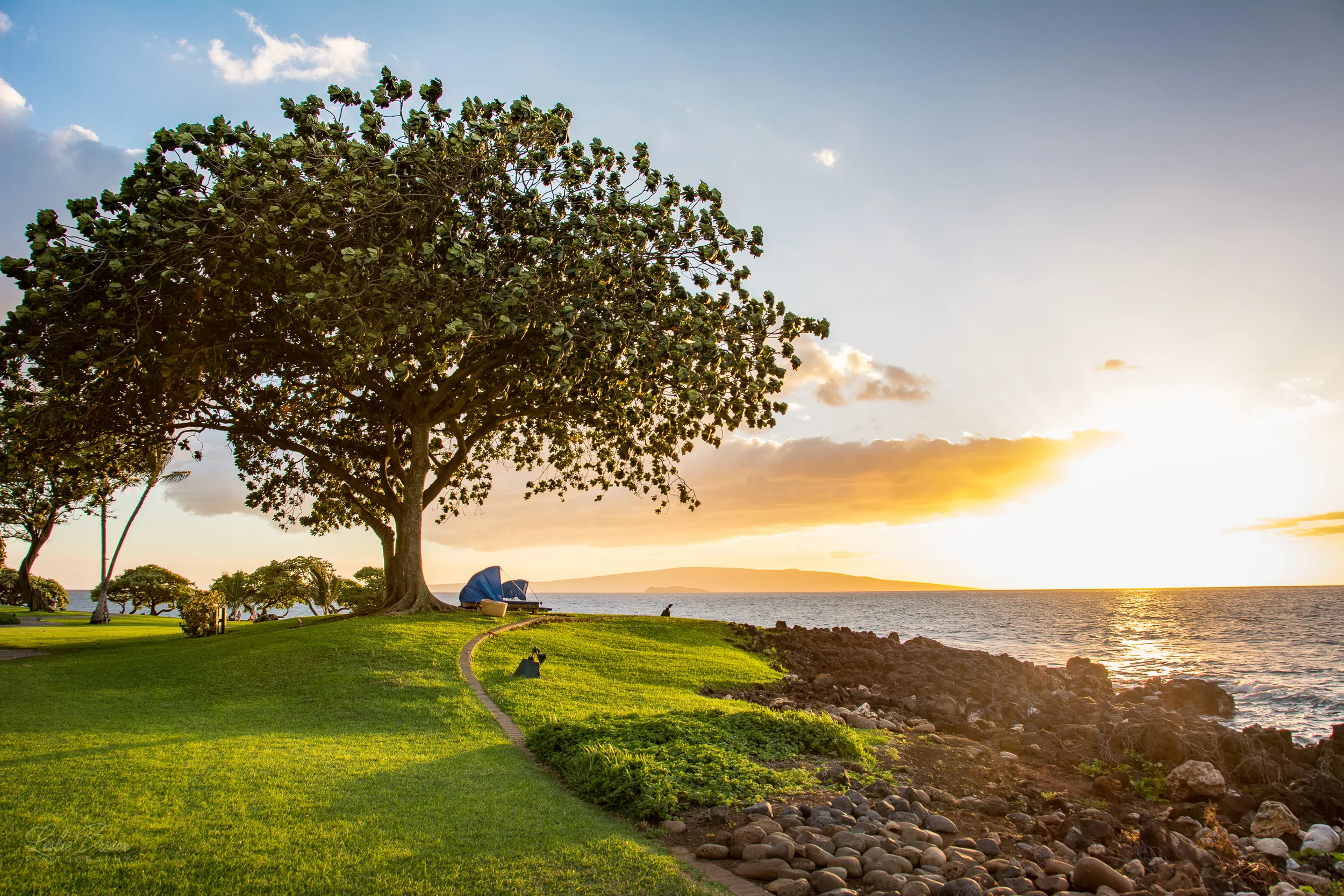 MauiWailea-7.jpg