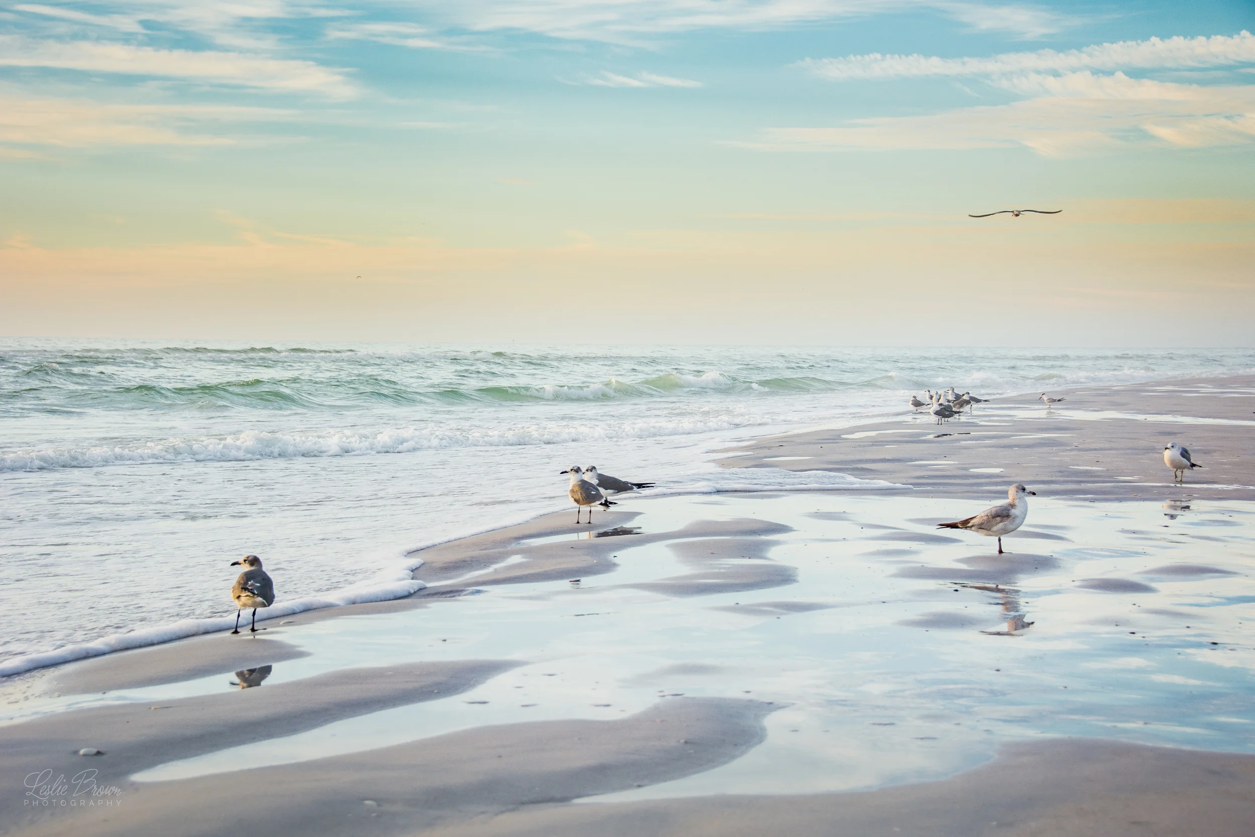 Lido Dusk-3.jpg