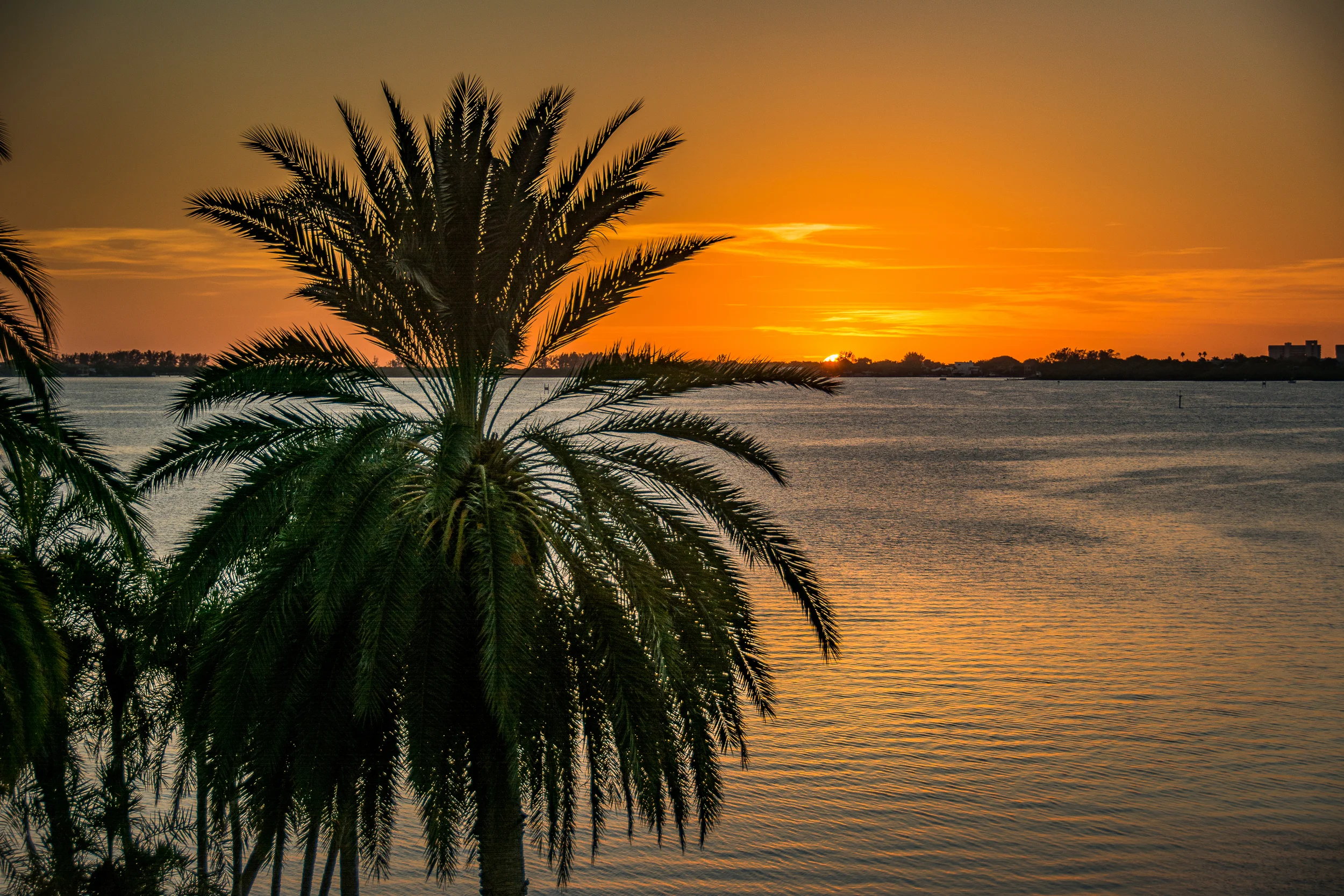 BOTASunset-6.jpg