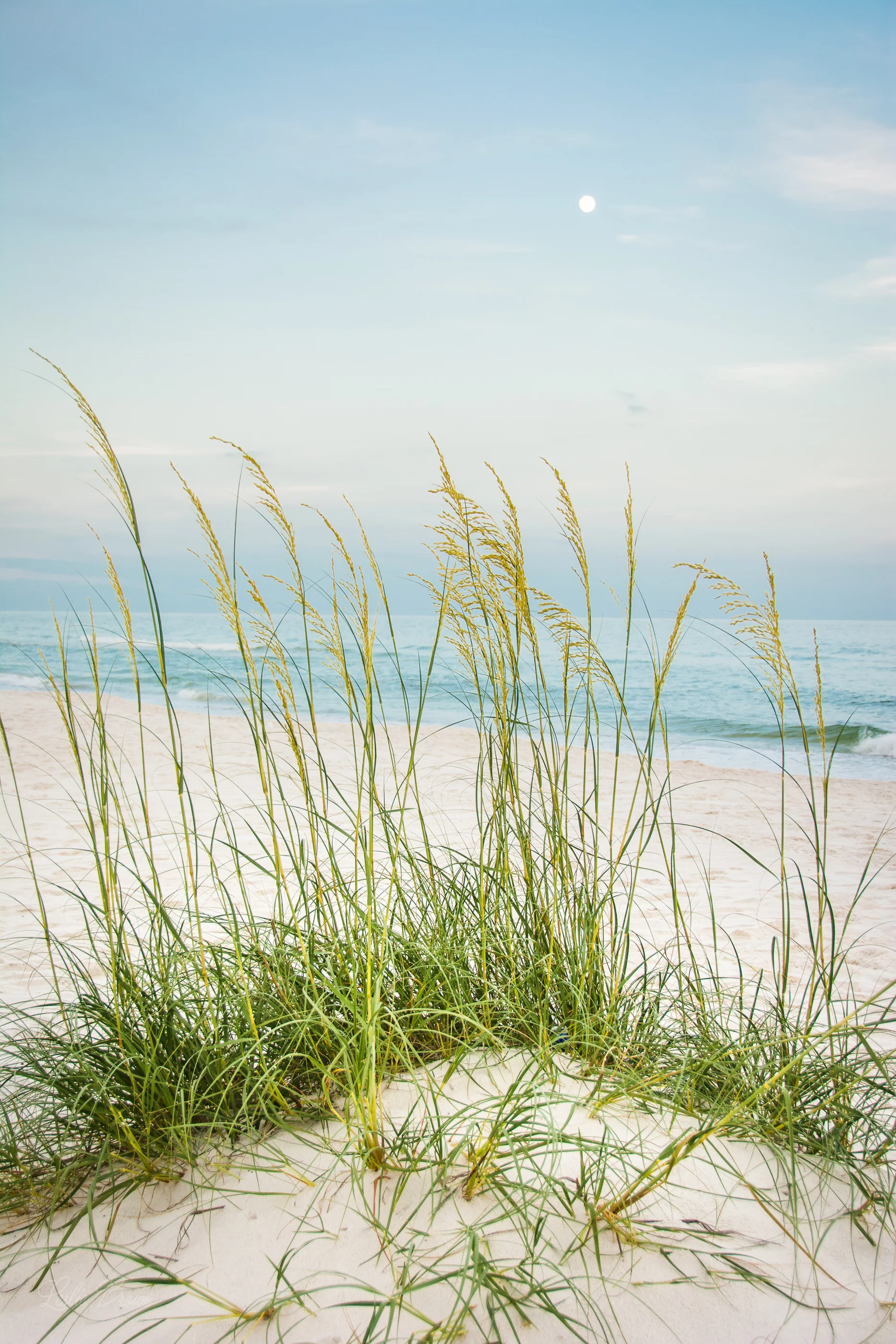 Family Lifestyle Session