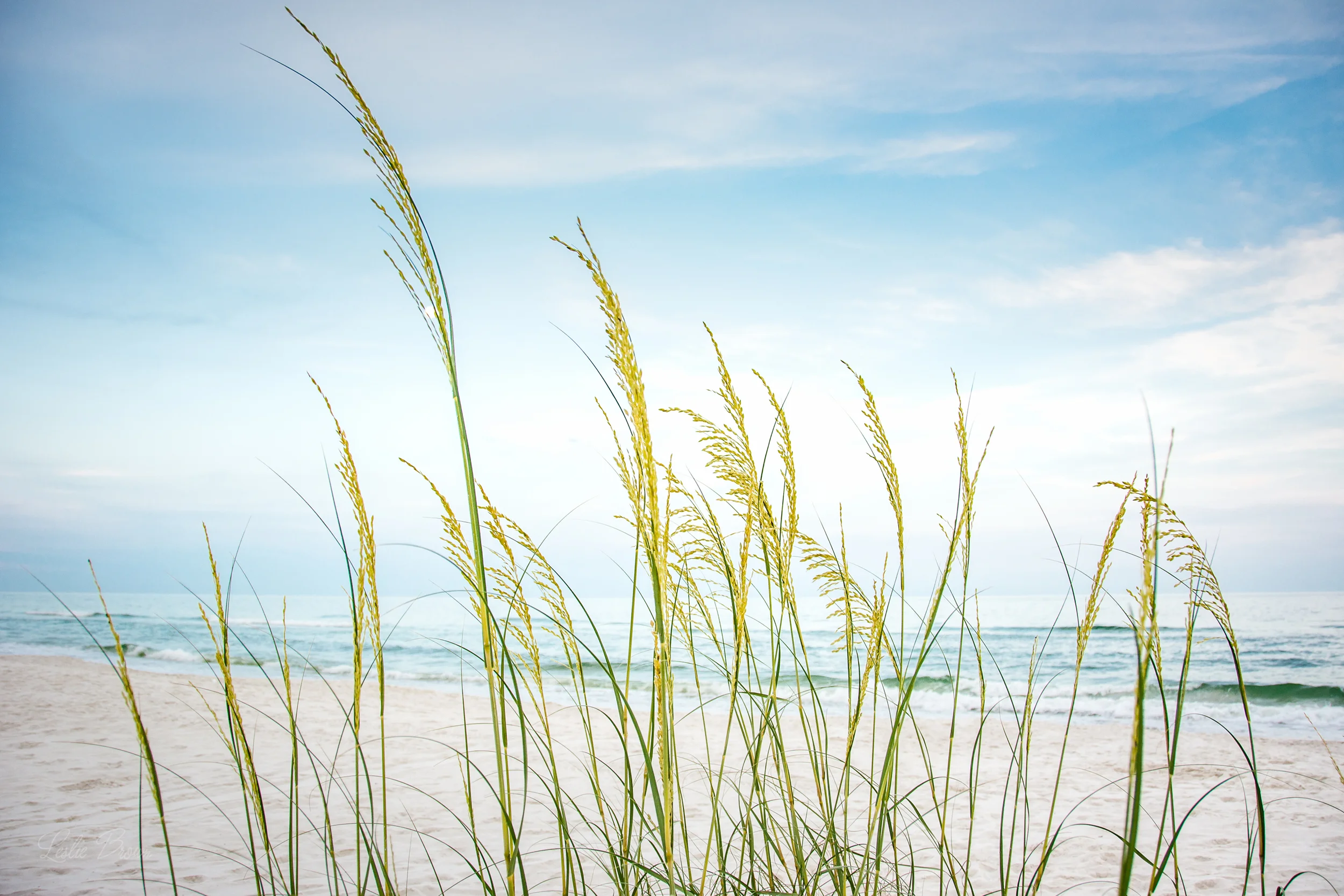 PerdidoBeachtime-2.jpg