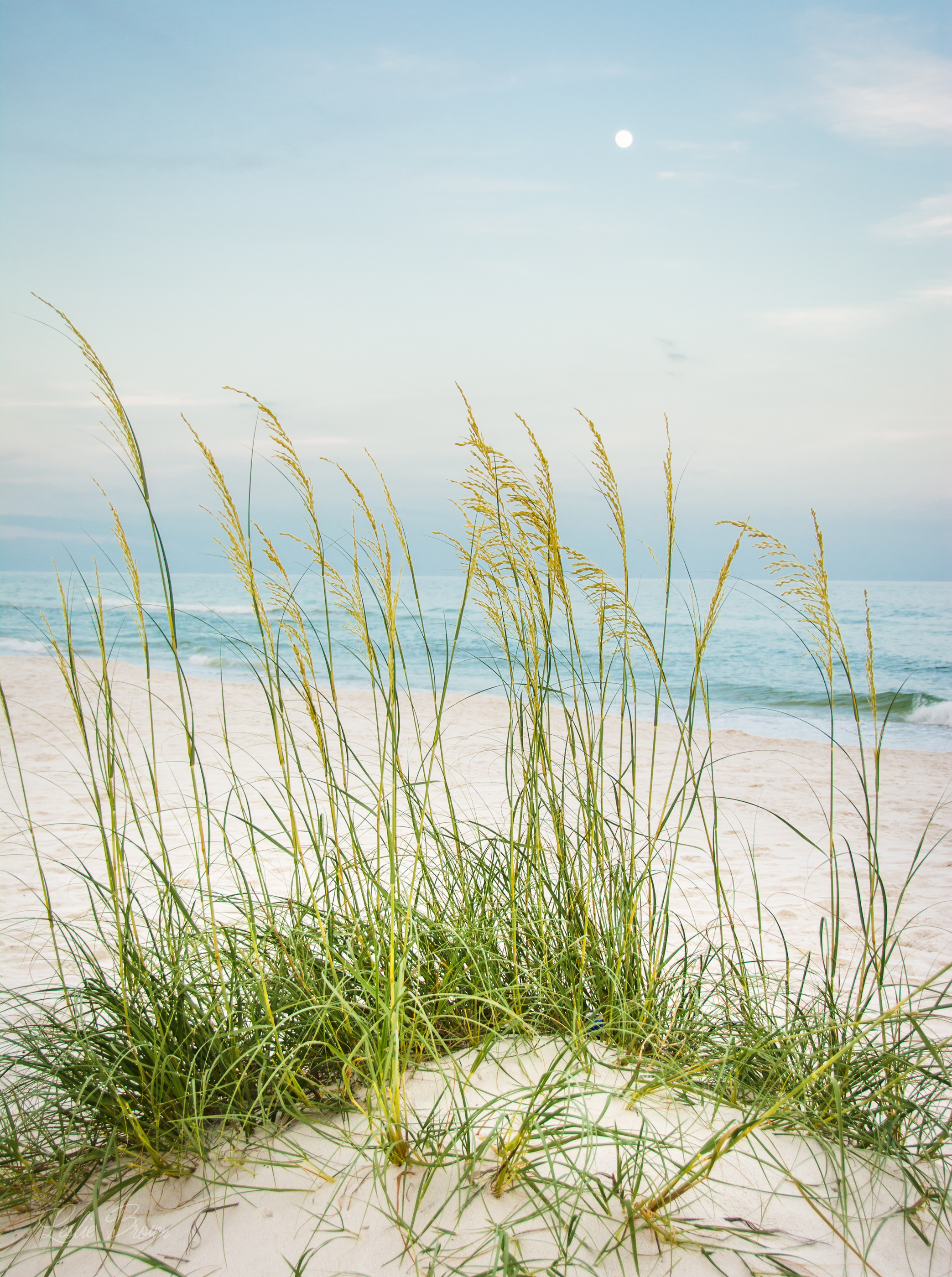PlayDelRio_June2016-8393.jpg