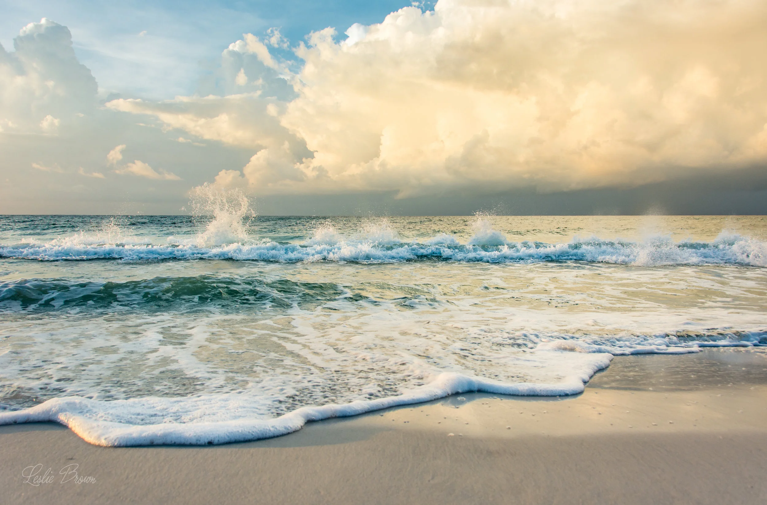 SSS Images-3335.jpg