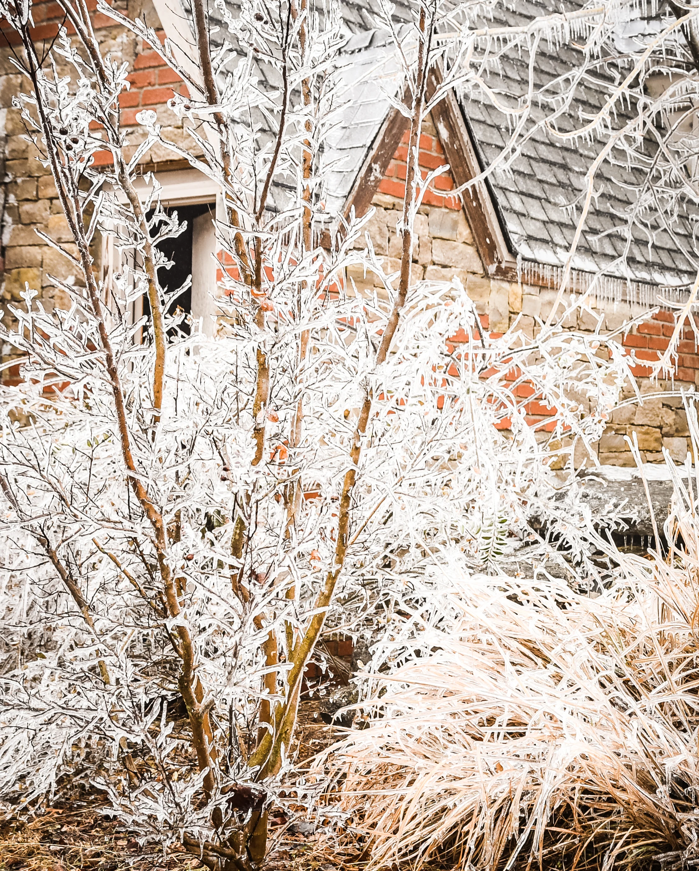 IceStormSkiatookOK_Jan2017-2566.jpg