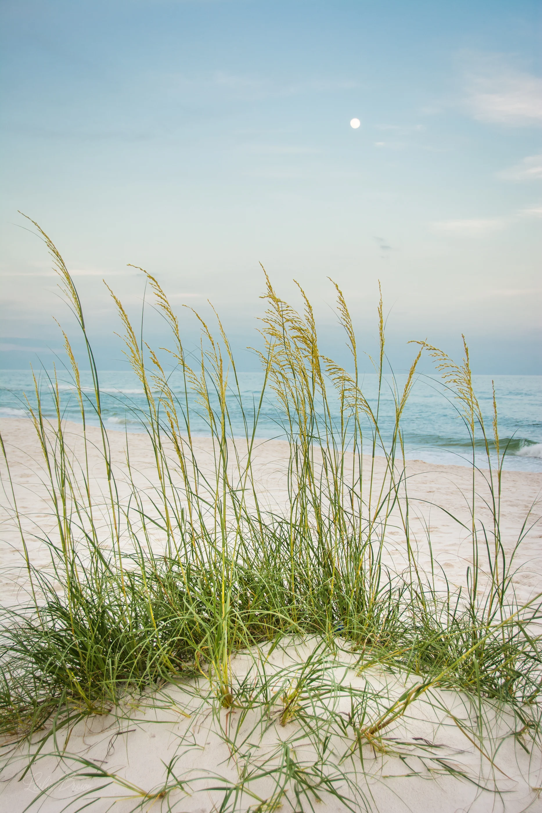 Perdido Beach.jpg