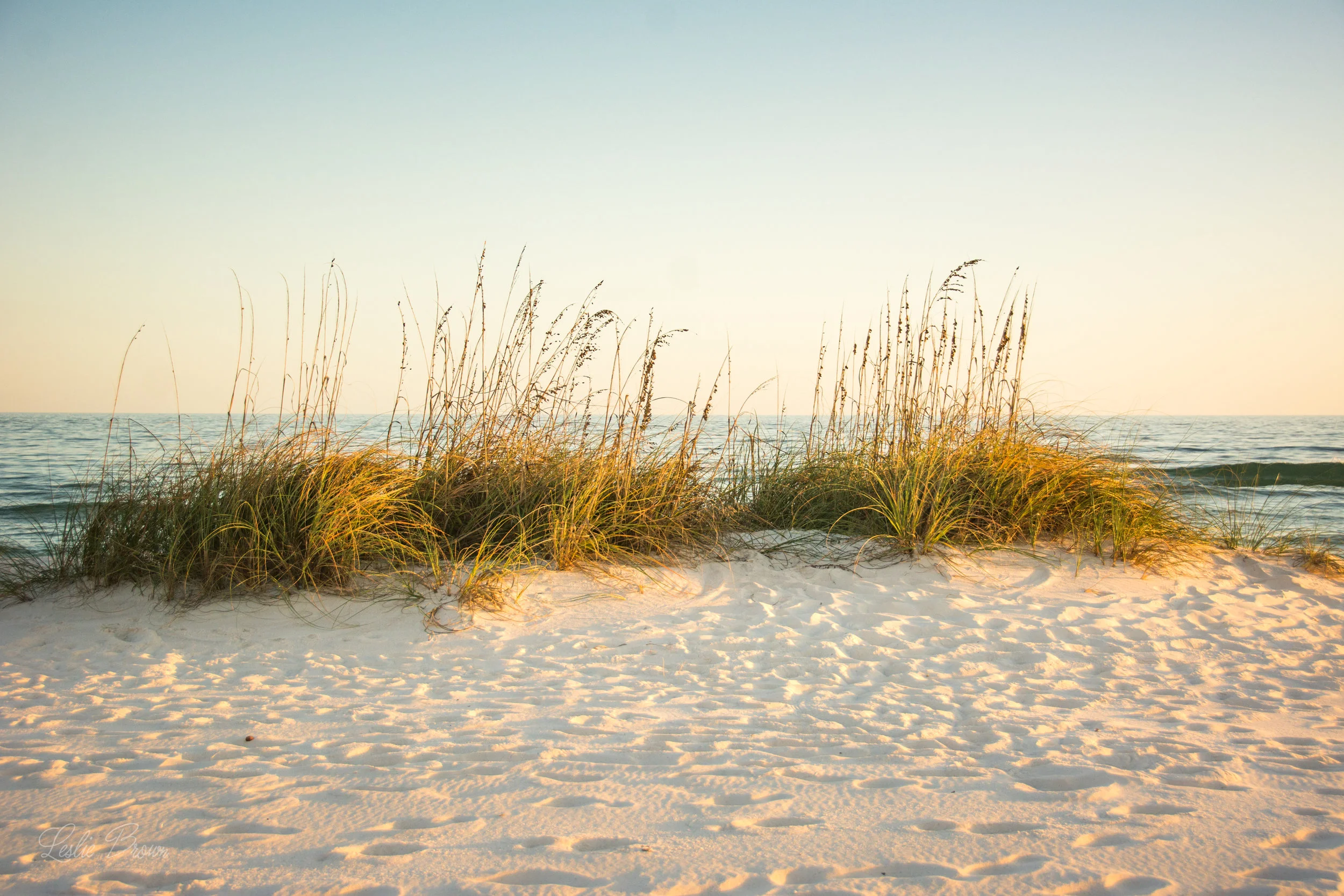 Perdido_Nov2016-7400.jpg
