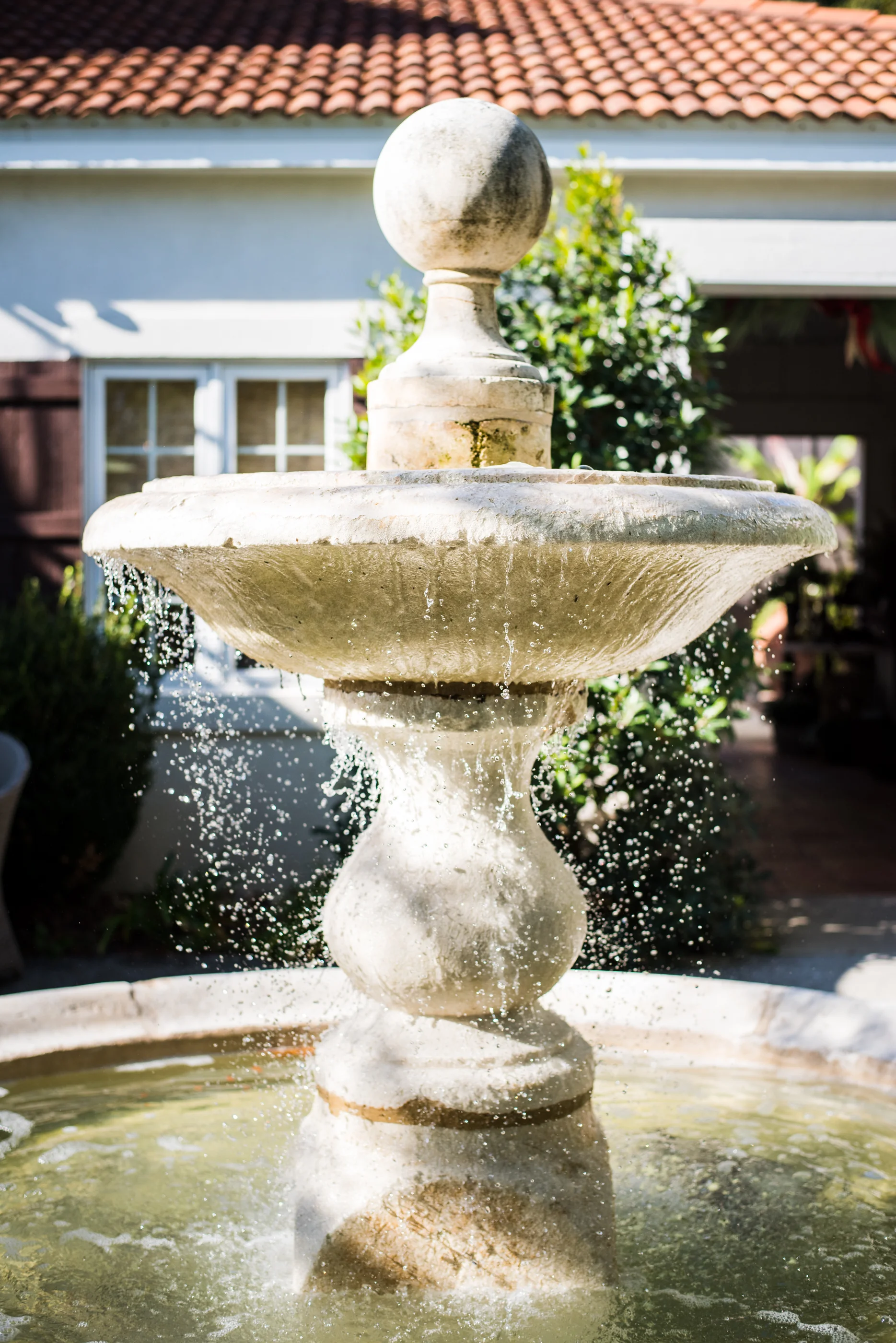 duhGarden-0714.jpg