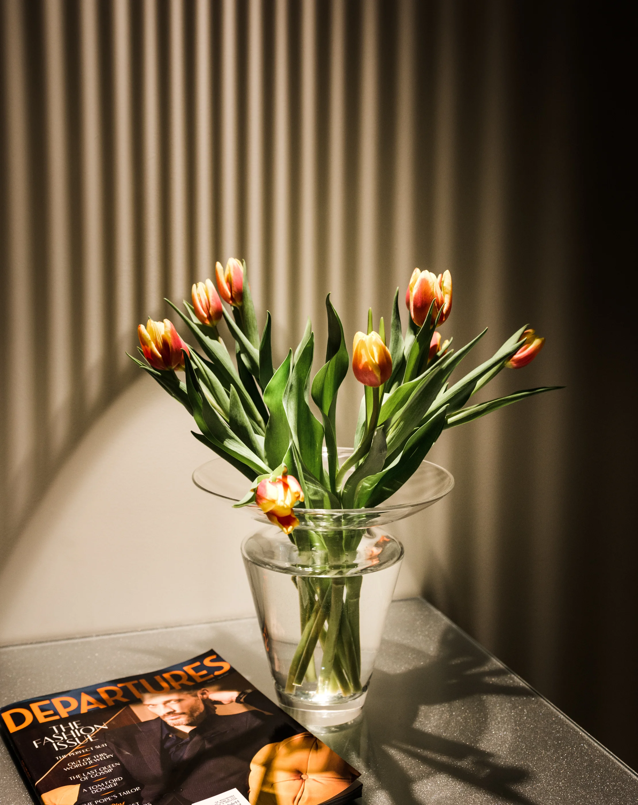 TulipsAbstract-1758.jpg