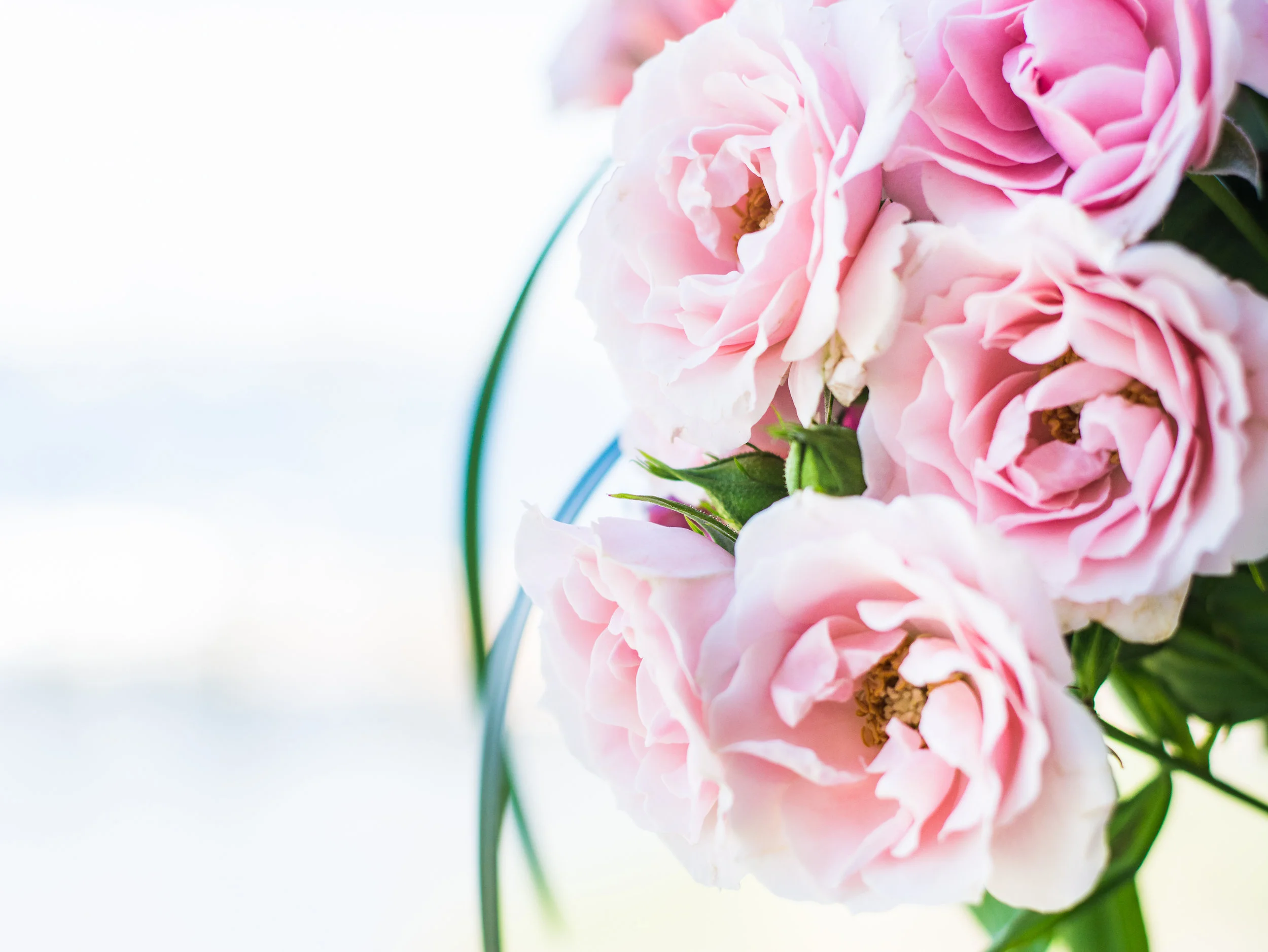 Pink Floral-3.jpg