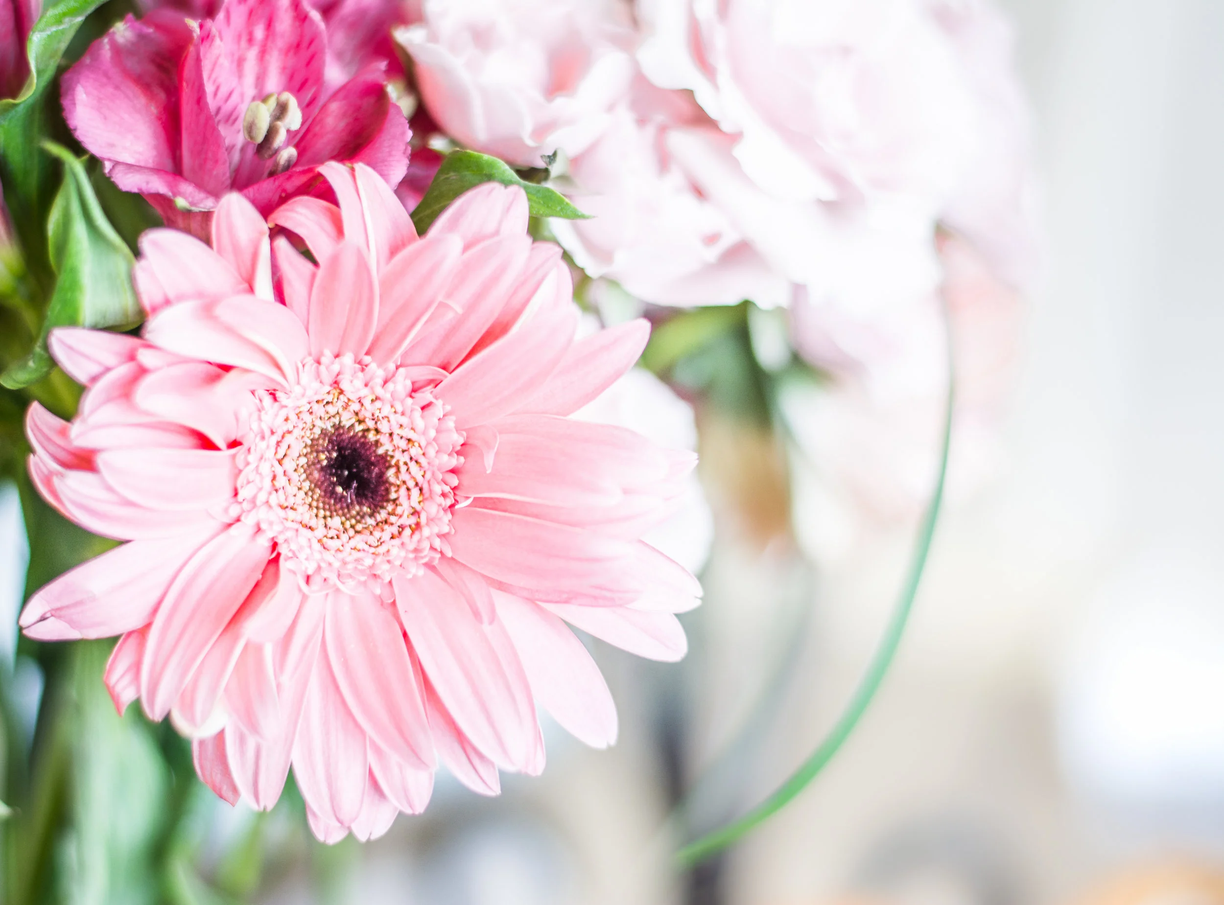 Pink Floral-8.jpg