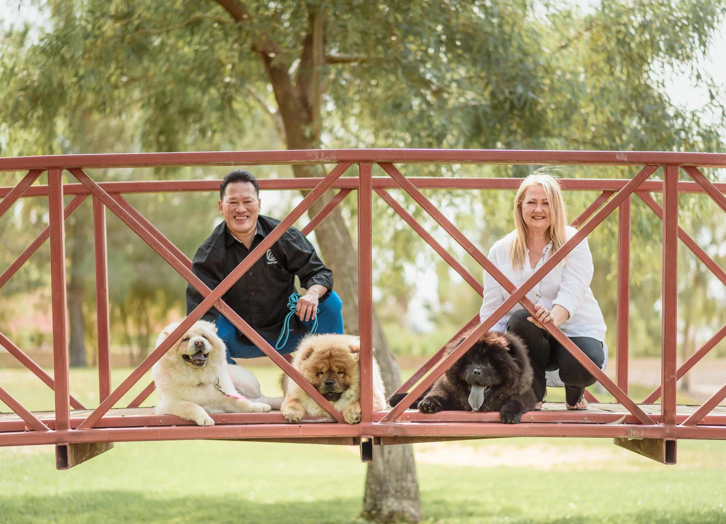 MJParkDogs-7920.jpg