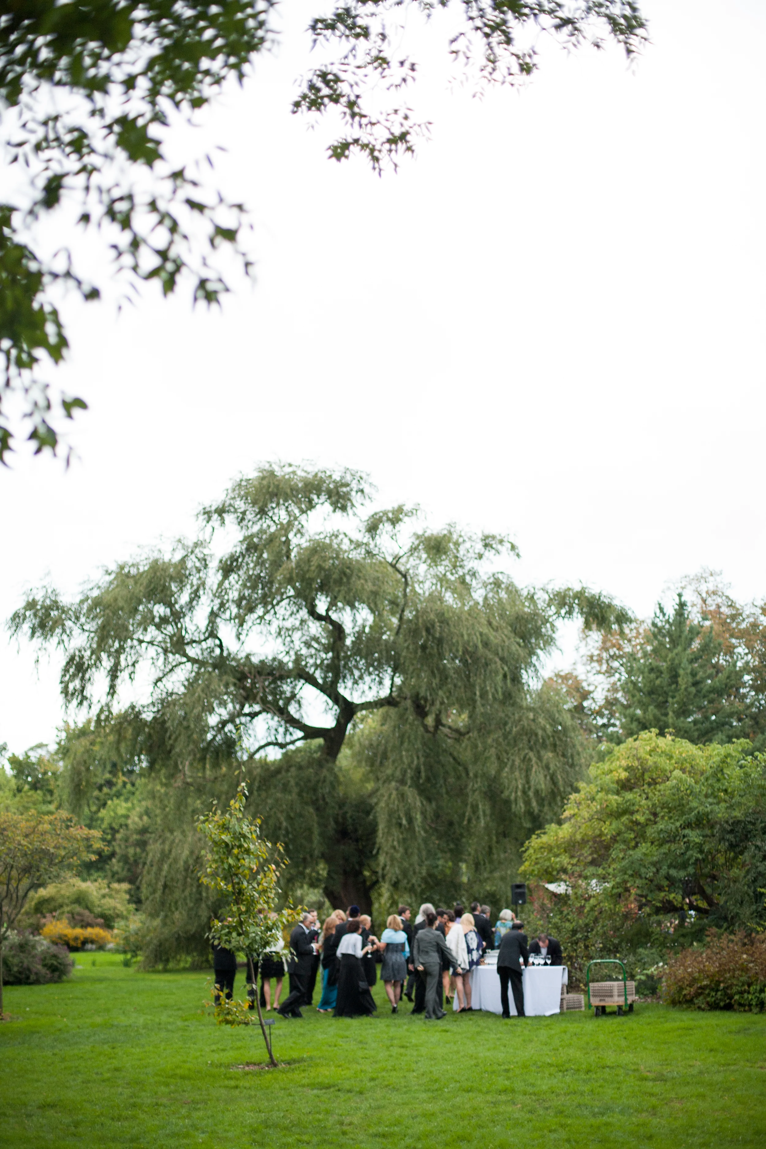 BrooklynBotanicGardensWedding_026.JPG