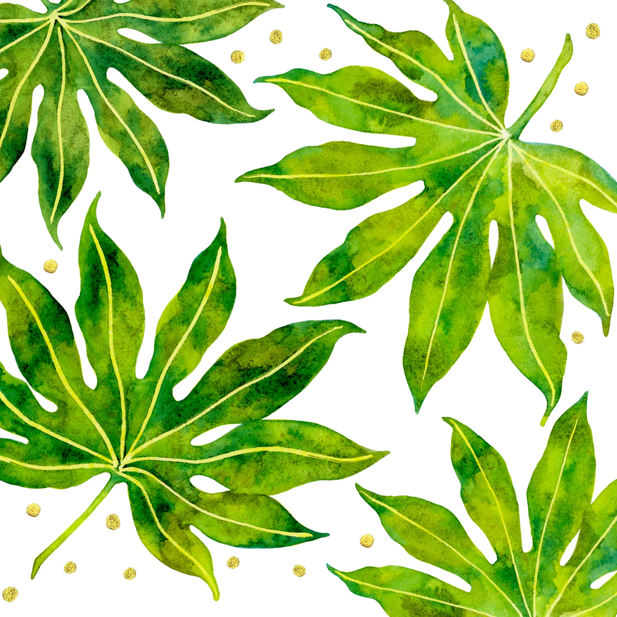 ARALIA LEAVES