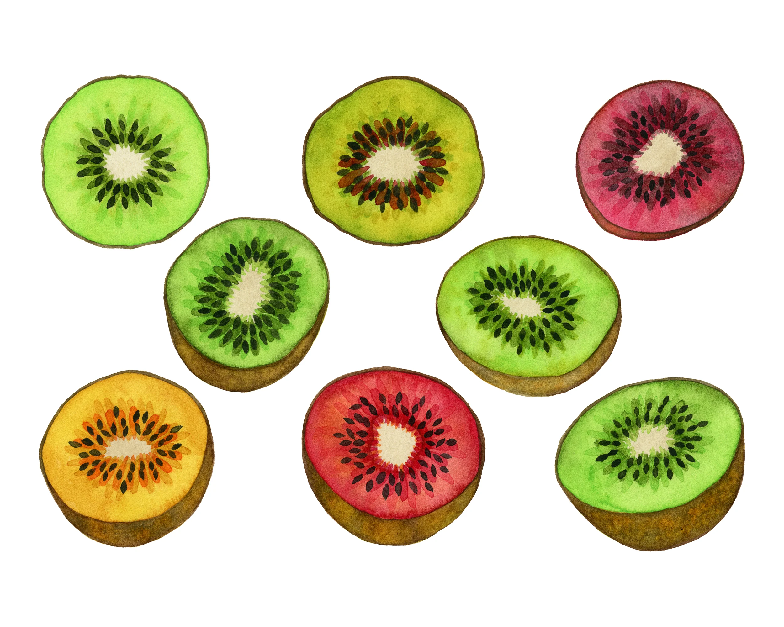 KIWI