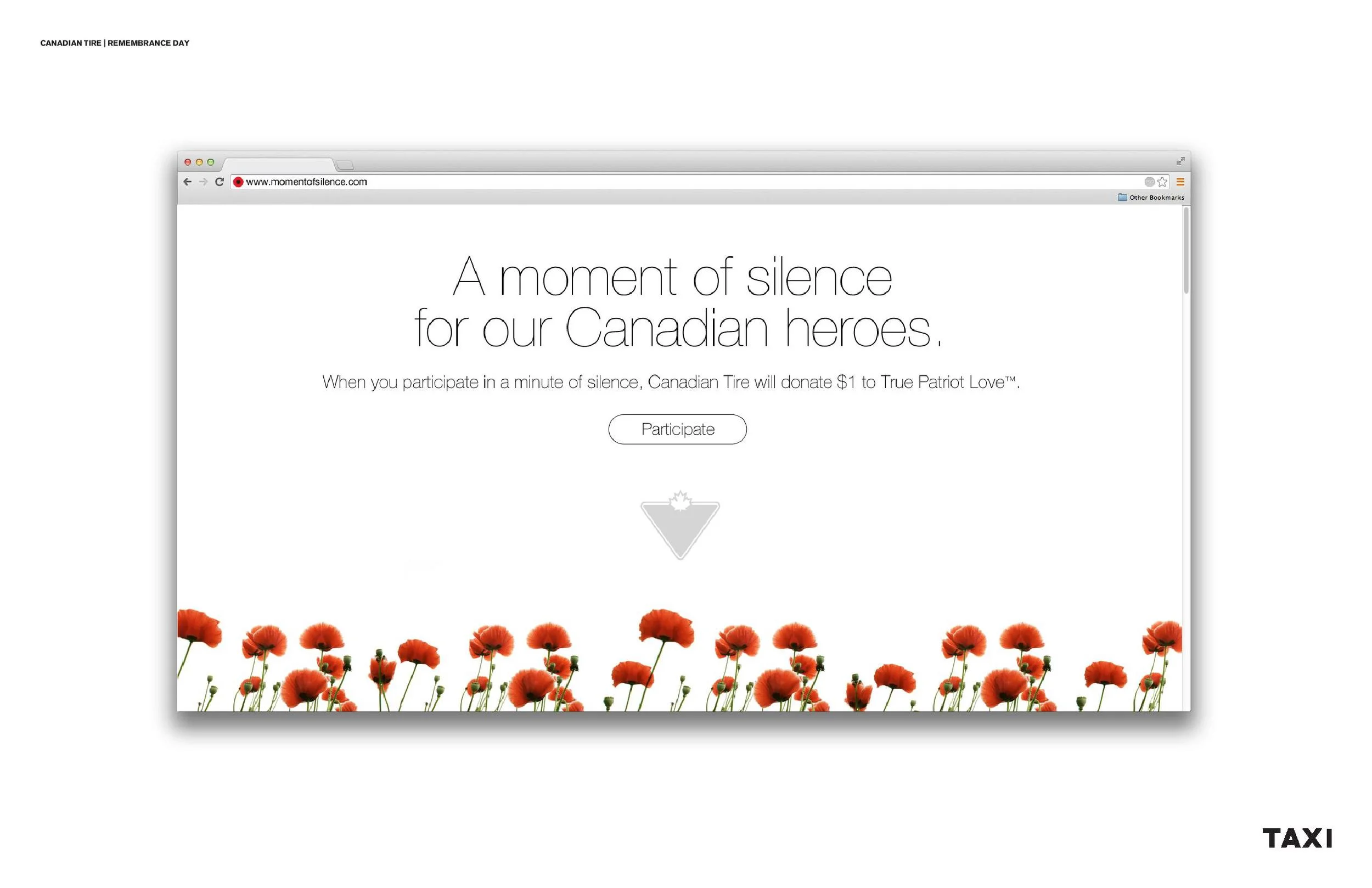  Website landing page&nbsp; 