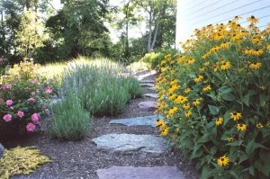 plantings-300x199.jpg