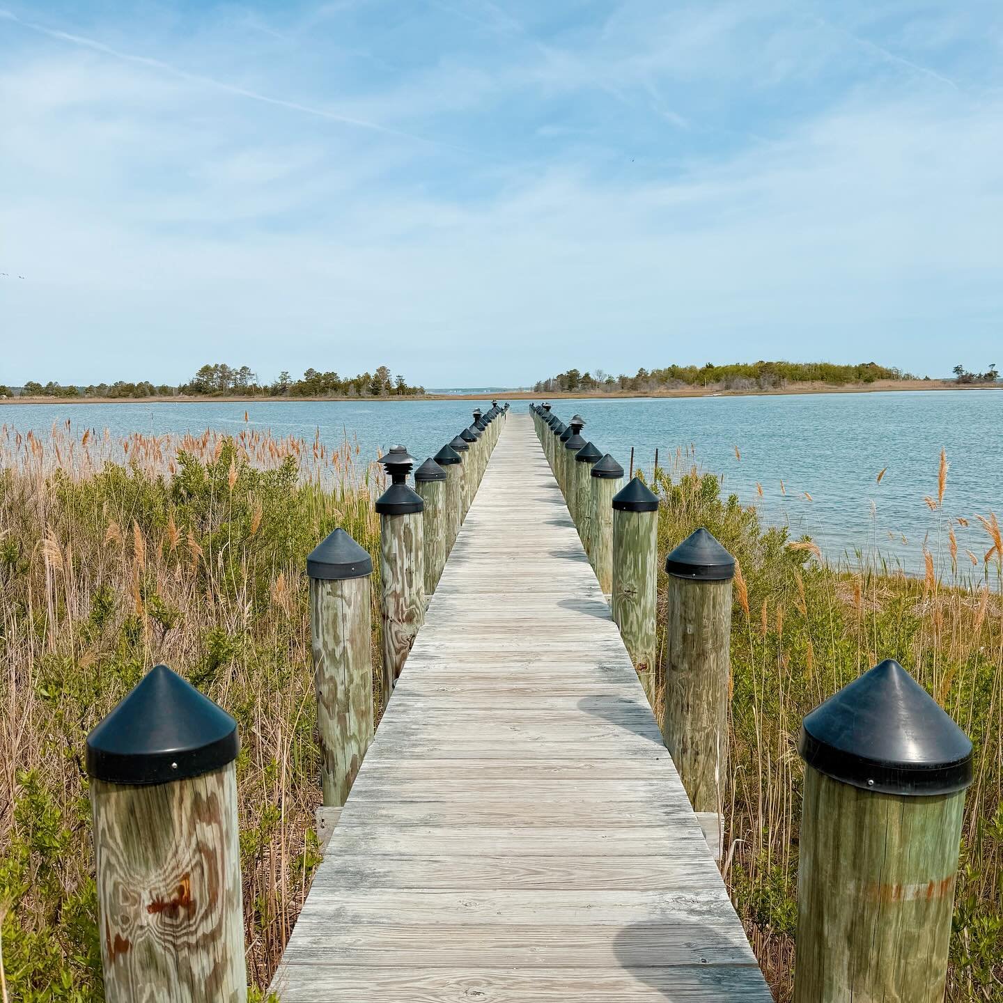 Delaware | April 2025