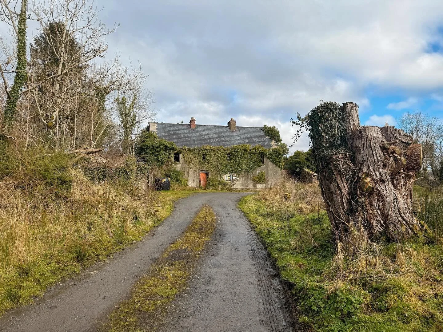 Ireland | February 2025