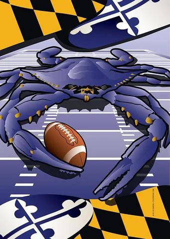 RavensCrabGardenFlag.jpg