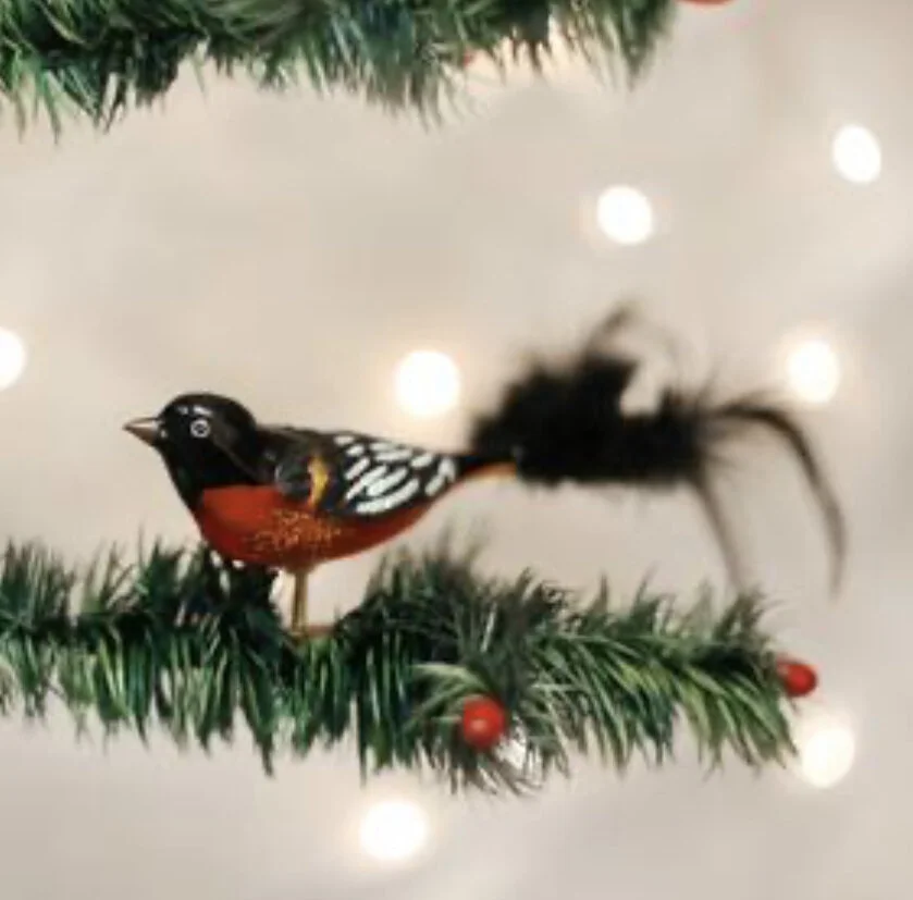 D1F0196C-6341-478C-A10F-1C1F67D41D49