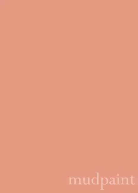 Vintage Coral Mudpaint