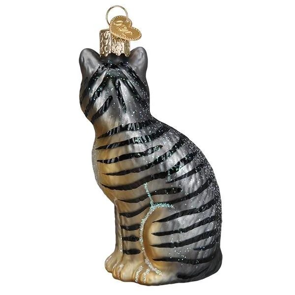 TabyCat2.jpg