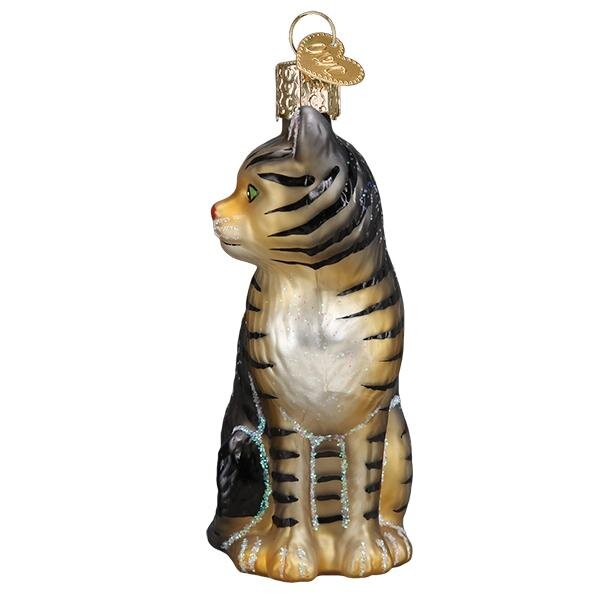 TabyCat3.jpg