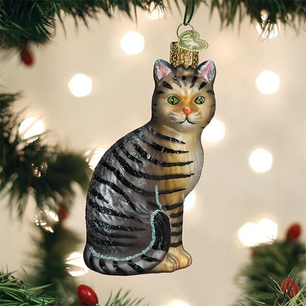 TabyCat5.jpg
