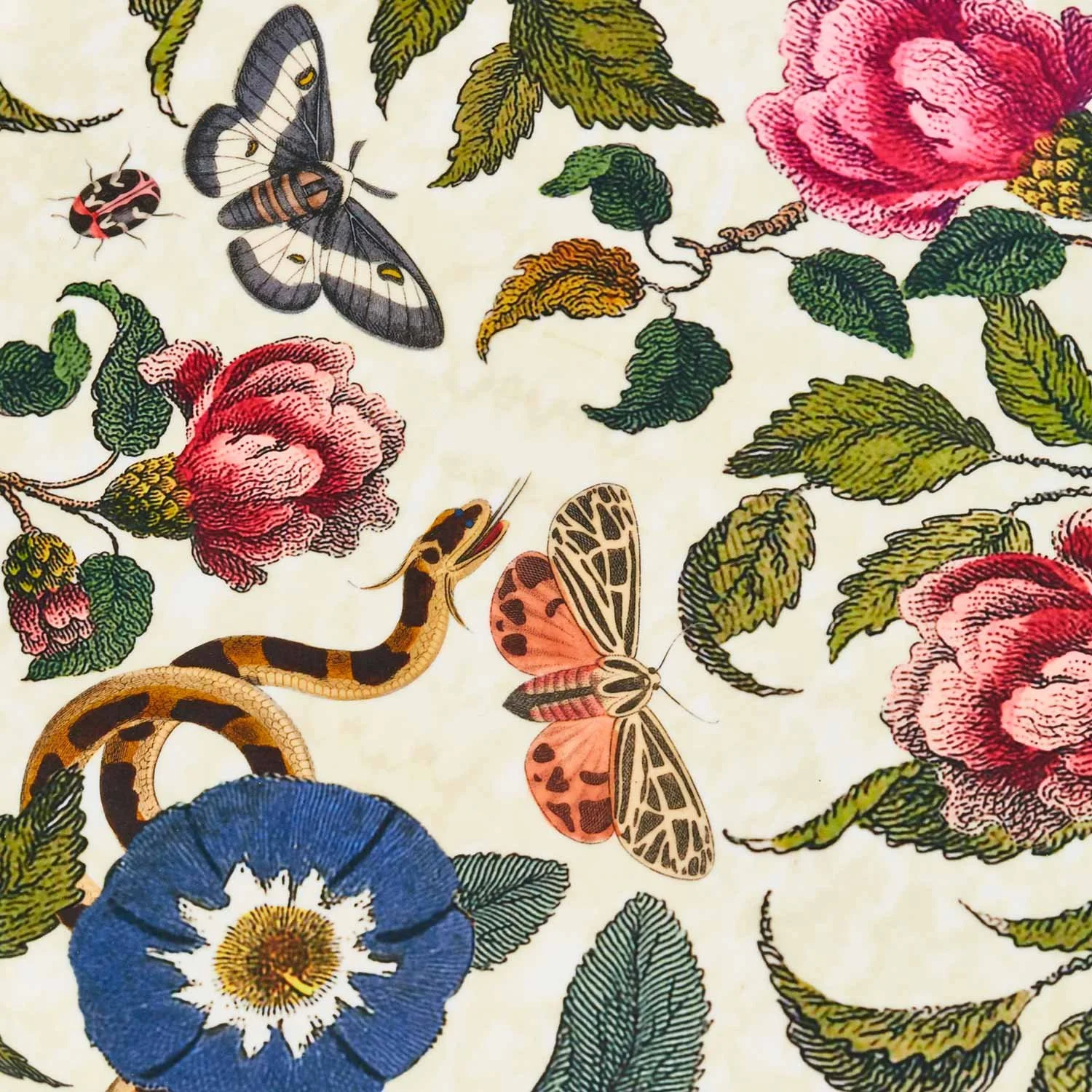 Spode Creatures of Curiosity Round Birch Serving Tray (White Floral)