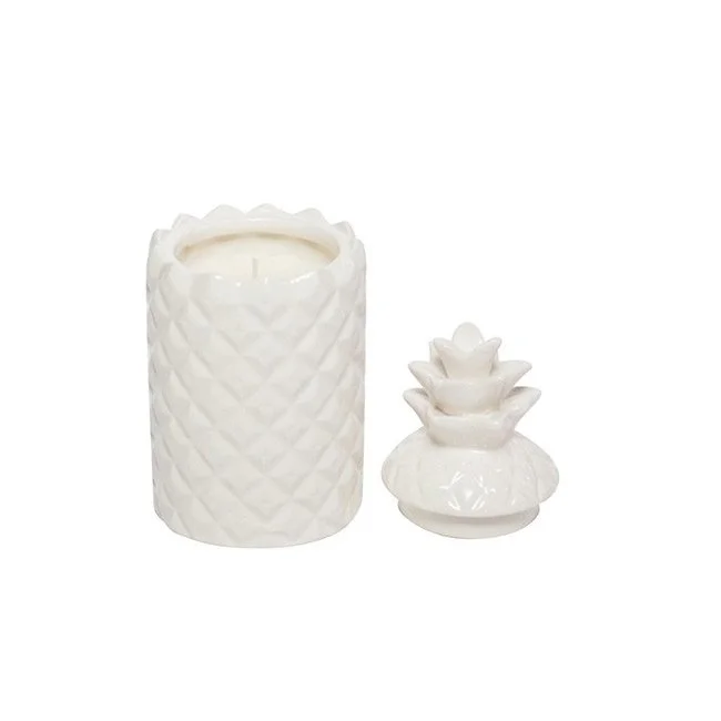 Pineapple WHT4.jpg
