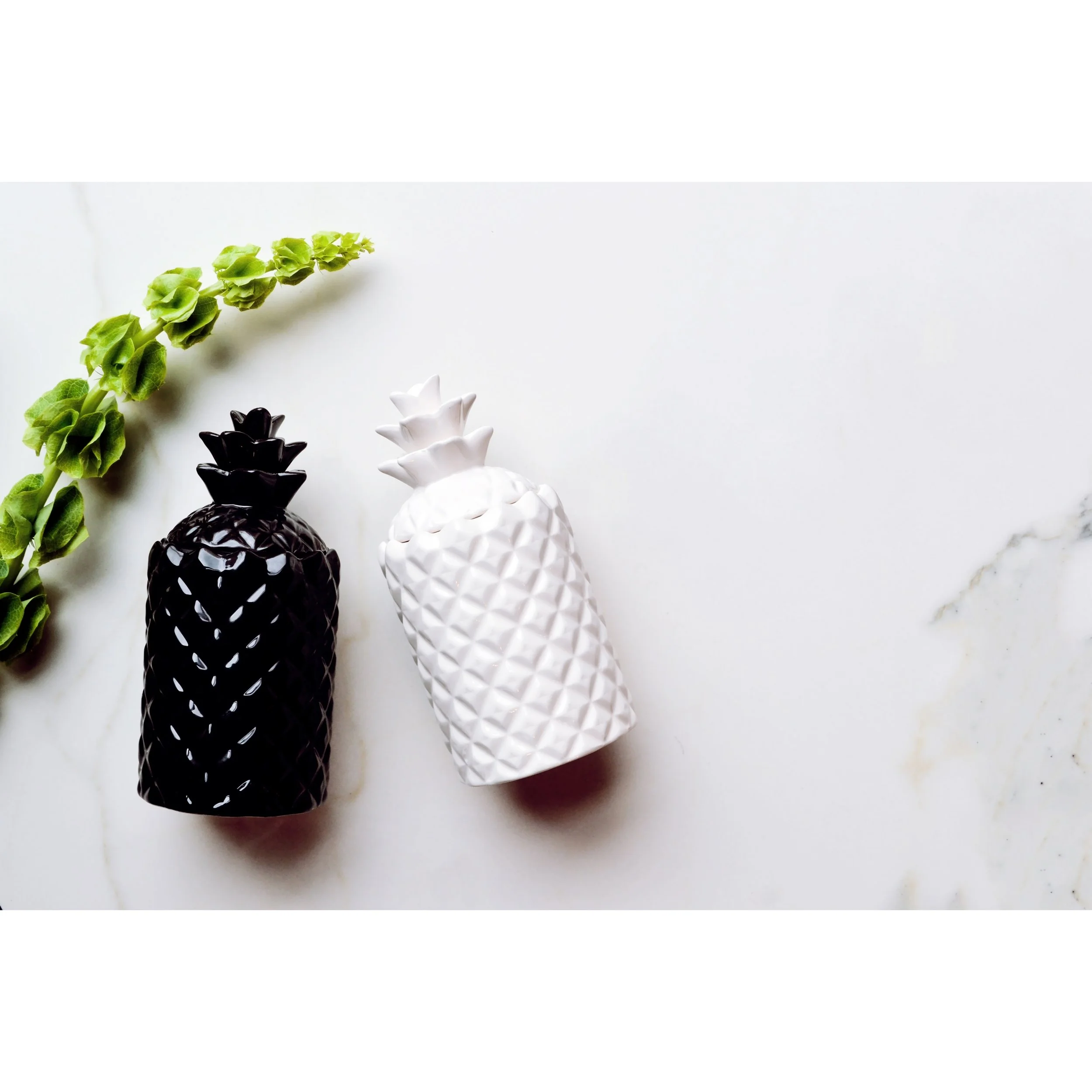 Pineapple BLK2.jpg