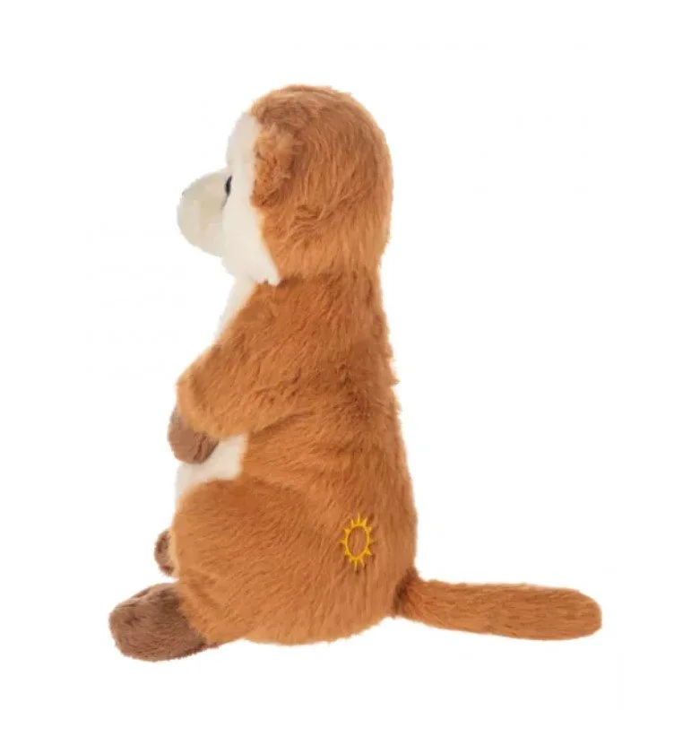 Meerkat3.jpg