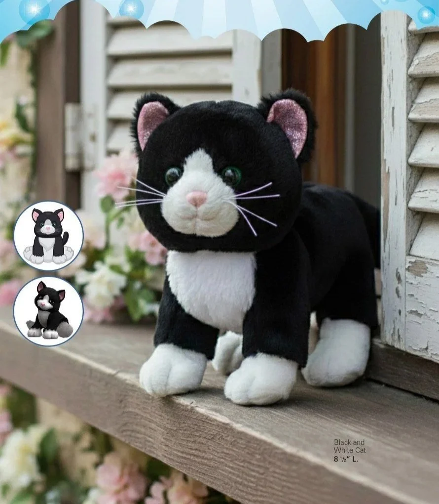 BlackWhiteCat.jpg