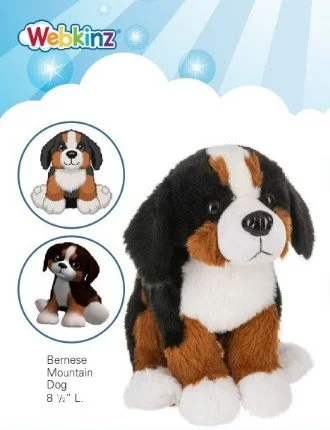 BerneseMountainDog3.jpg