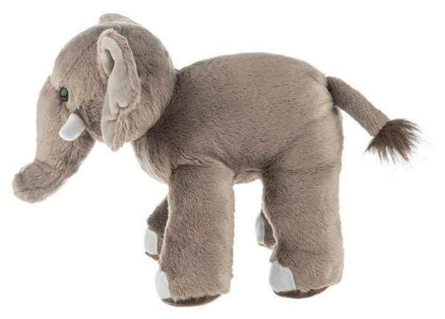 AsianElephant4.jpg