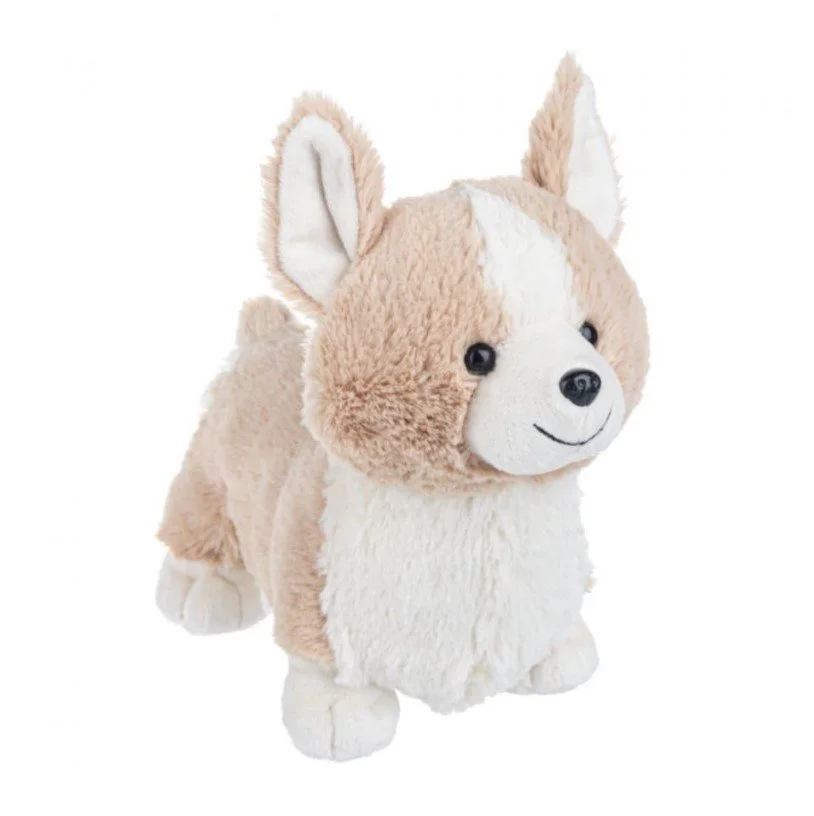 Corgi2.jpg