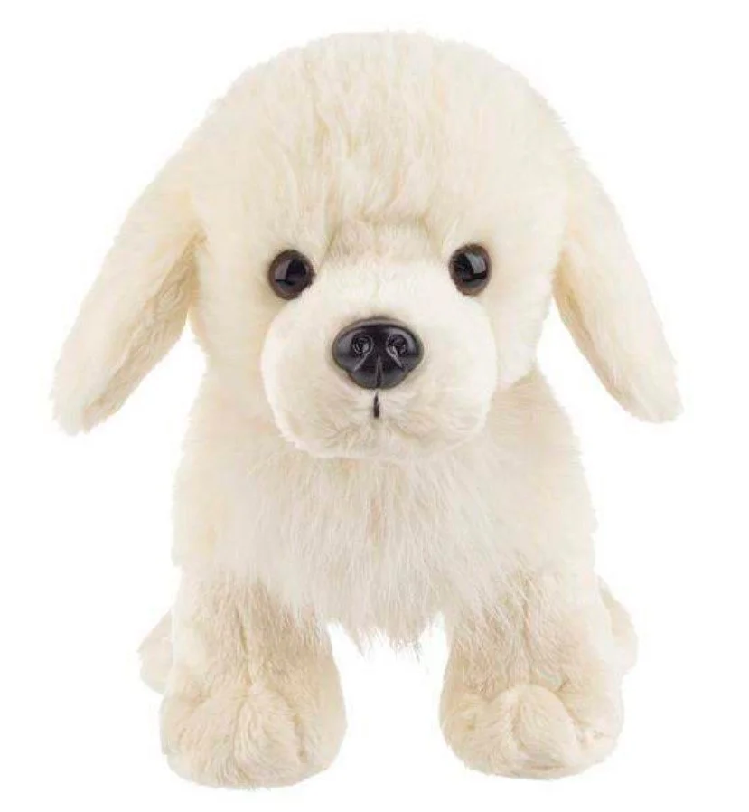EnglishCreamRetriever5.jpg