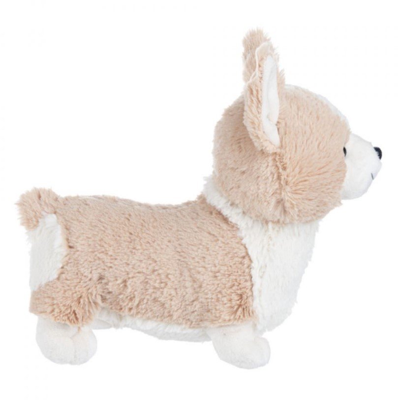 Corgi3.jpg
