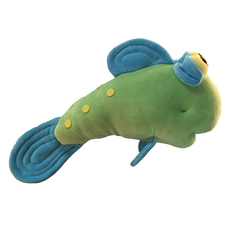 FunnyFriends_Fish_GoogleTrout_Small_GreenBlue_SideView.png