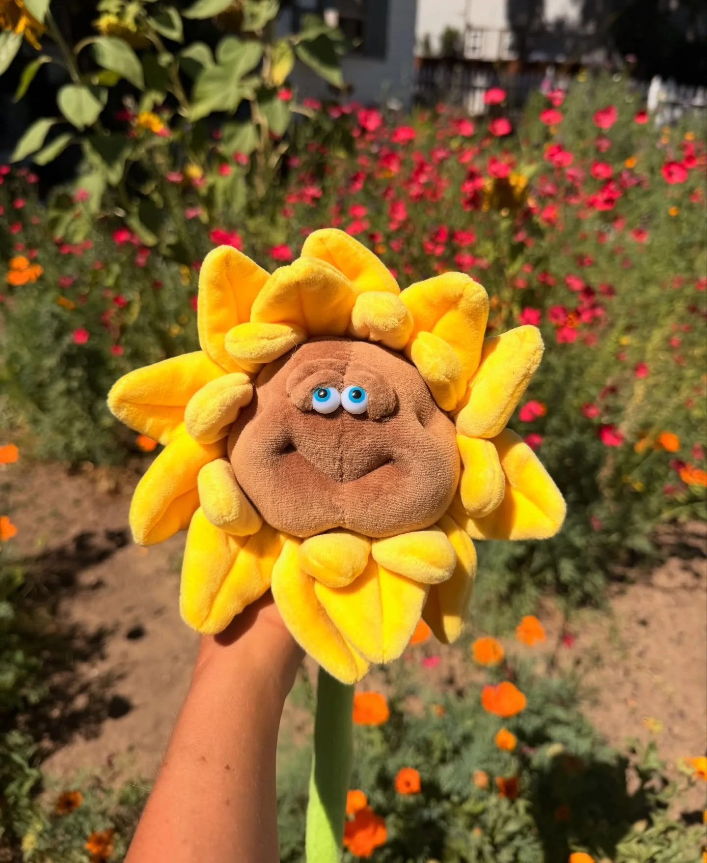 Springtime flowers require no occasion🌻

#softsculpture #sunflowerdecor #plushflowers